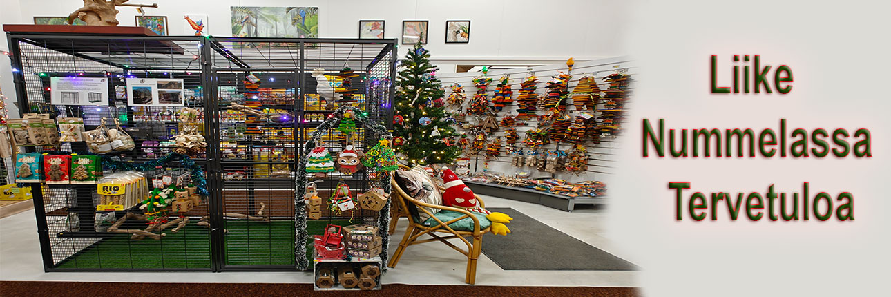 title_6943e9a8a122712467459801766058408