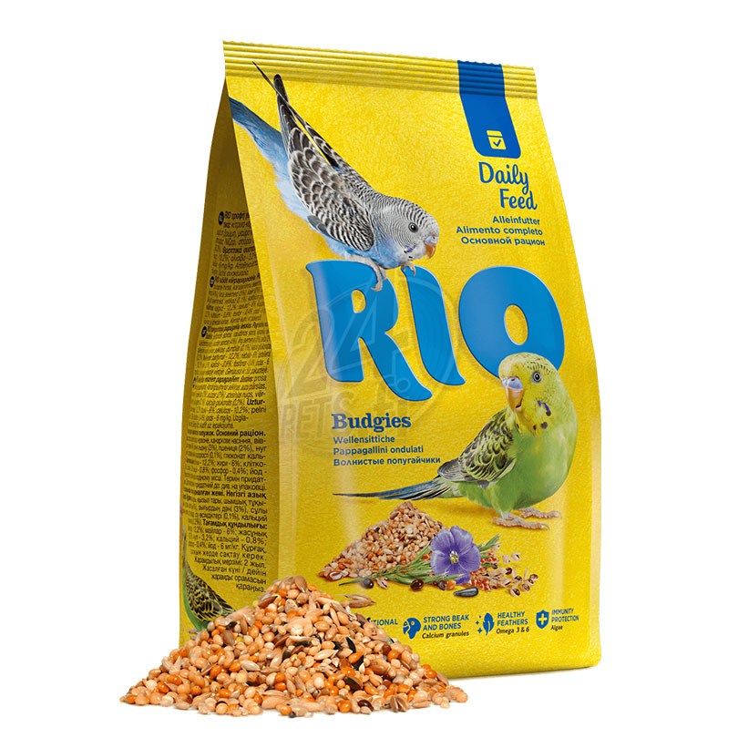 RIO_budgies