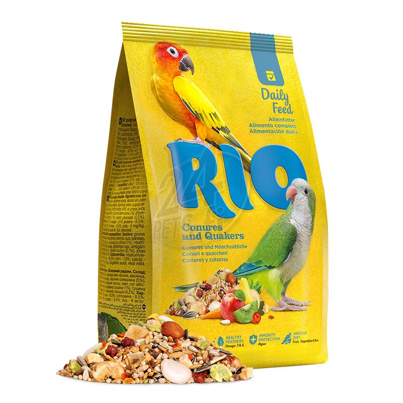 RIO_feed_Conures_Quakers