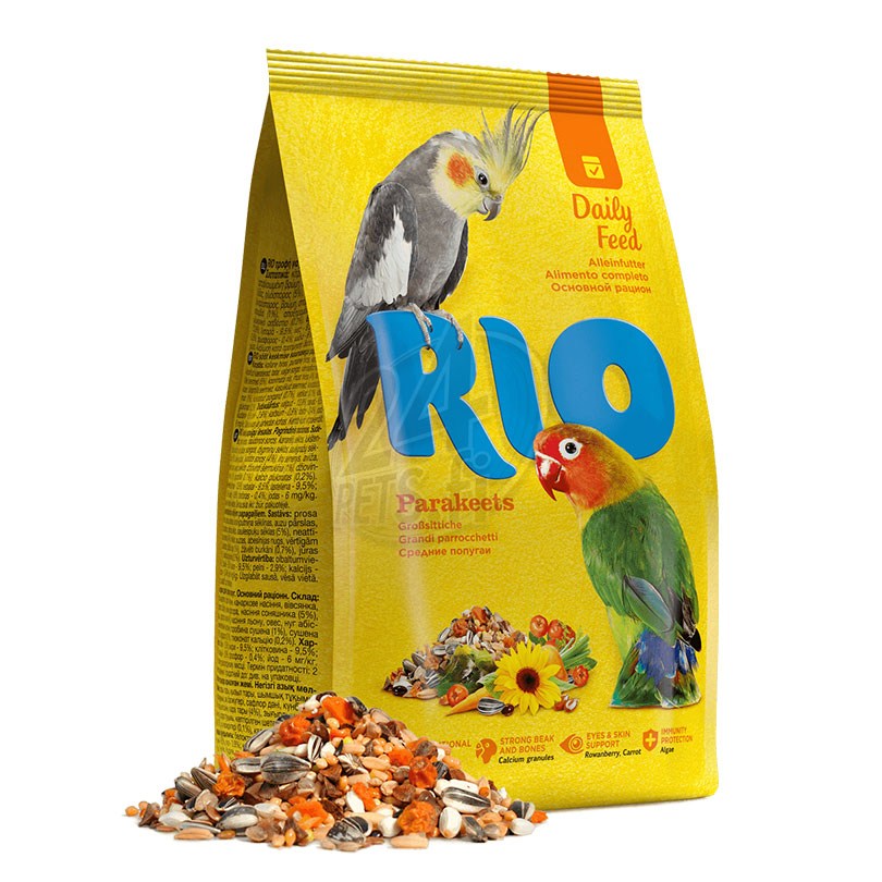RIO_parakeets