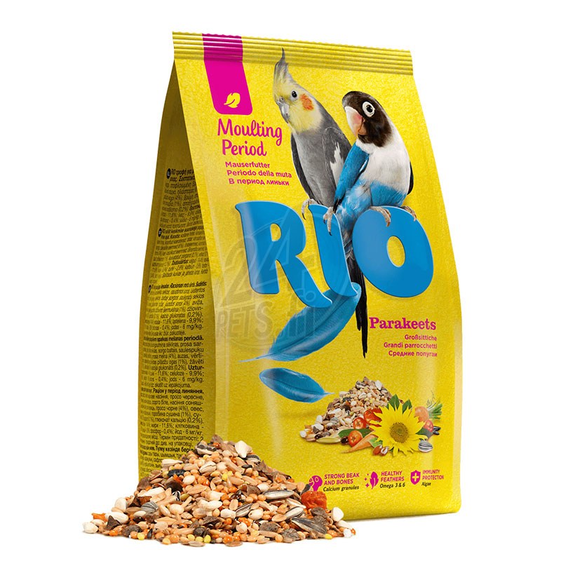 RIO_parakeets_MP
